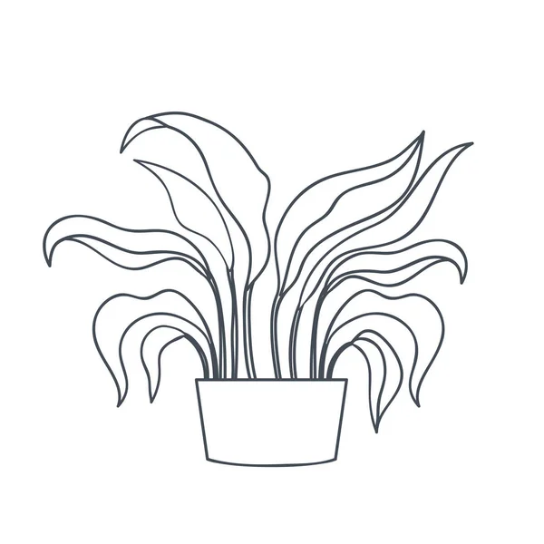Plante d'intérieur avec icône isolée en pot — Image vectorielle