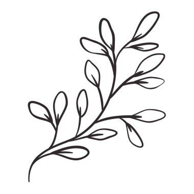 güzel yaprak bitki izole simgesi