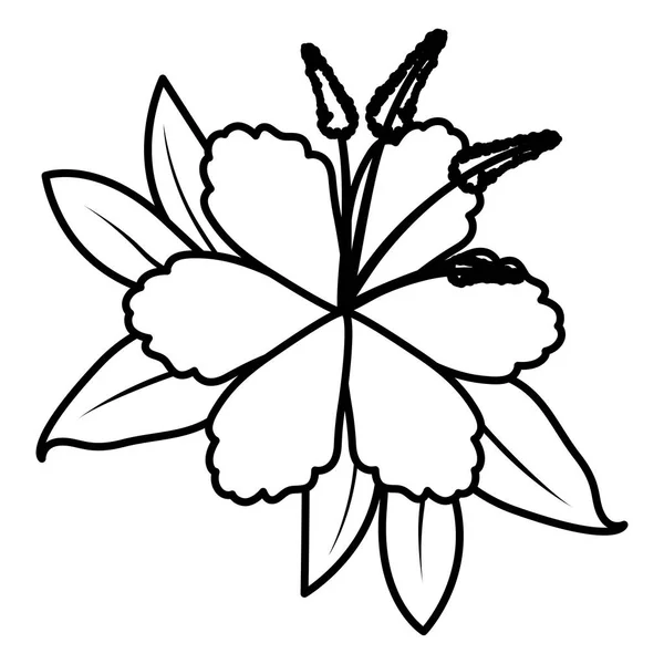 美しい花と葉の庭 — ストックベクタ