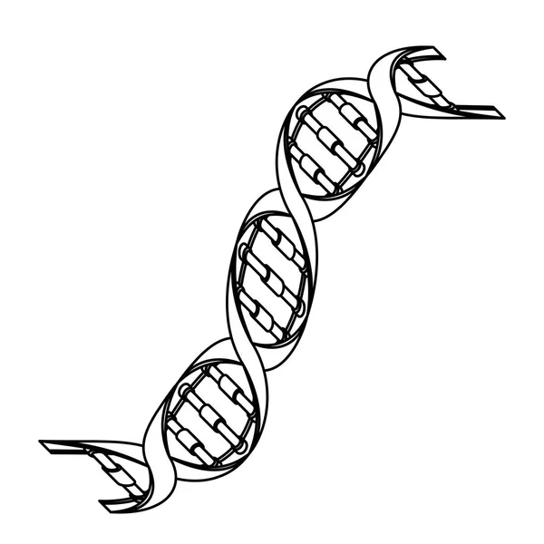 Διαγώνιο DNA αλυσίδα επιστήμη μονόχρωμη — Διανυσματικό Αρχείο