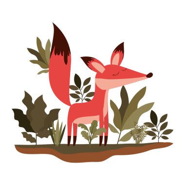 Vahşi tilki orman sahnesinde