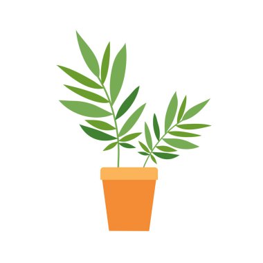 saksı izole simgesi ile houseplant