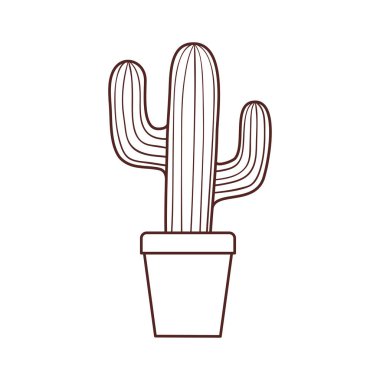 saksı izole simgesi ile kaktüs silueti