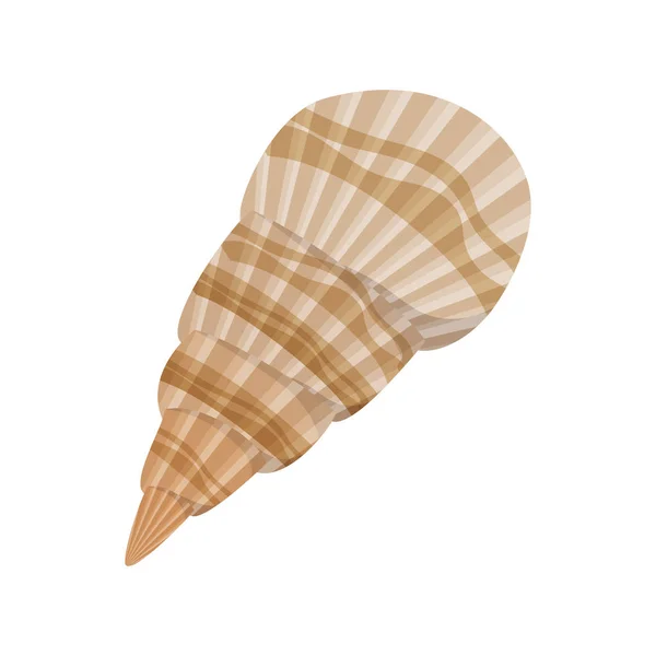 Söt Seashell på havet i vit bakgrund — Stock vektor