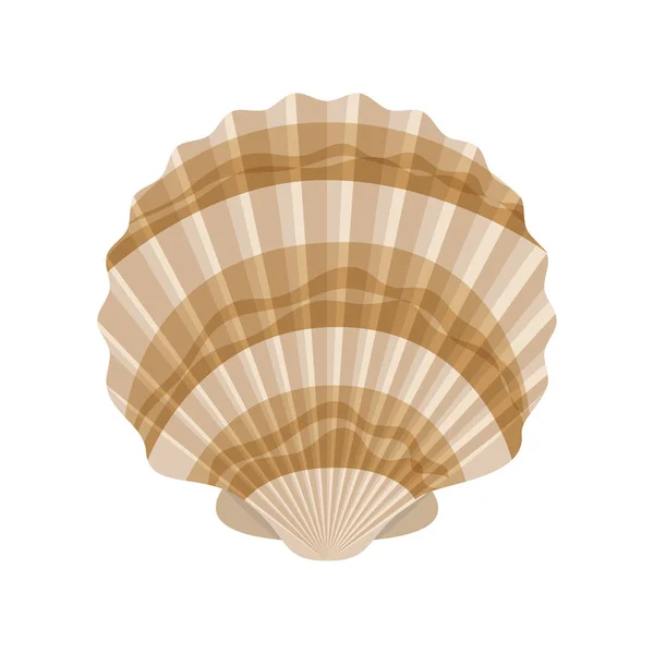 Cute seashell on the sea in white background — Stock Vector
