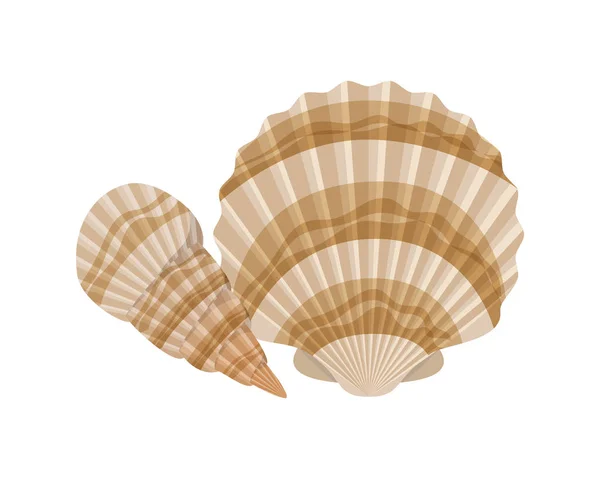 Cute seashell on the sea in white background — Stock Vector