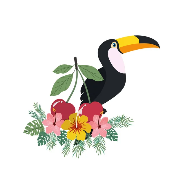 Pattern of toucan and summer flower — Stock Vector