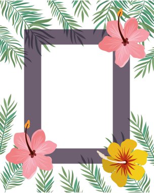 çiçek ve yaz yaprakları ile çerçeve