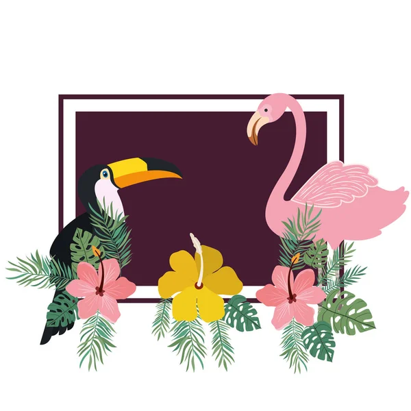 Patrón de tucán y flamenco con flores de verano — Archivo Imágenes Vectoriales