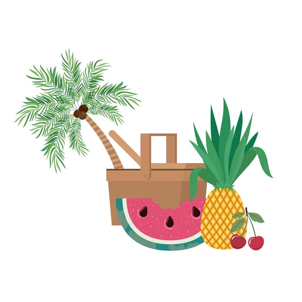 Picnic basket with tropical fruits on white background — Stock Vector