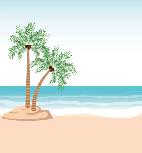 Palm tree of summer season design — Stock Vector