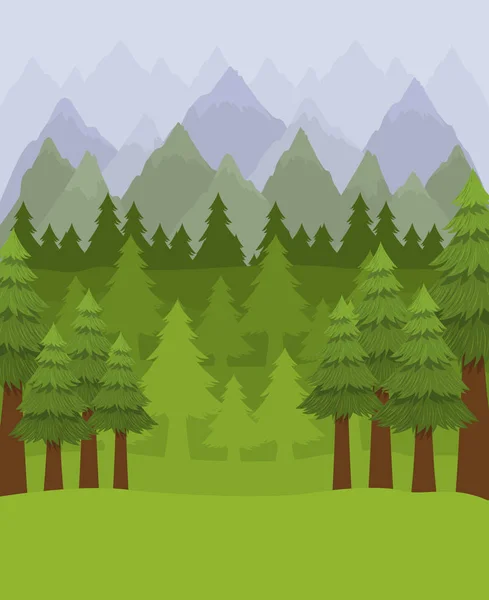 Bos met pijnbomen ontwerp — Stockvector