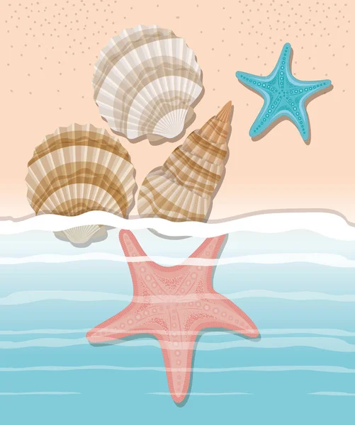 Sea Shell en ster in het zand ontwerp — Stockvector