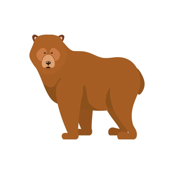 Desenho de animais florestais de urso isolado —  Vetores de Stock