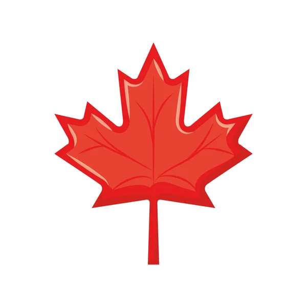 Maple Leaf van Canada Design — Stockvector