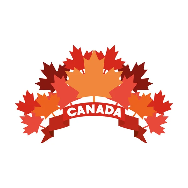 Canada symbol and maple leaf design — Stockvector