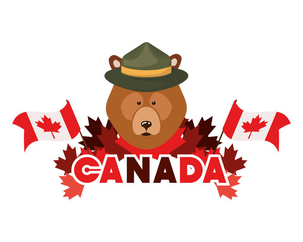 Дизайн медвежьих лесов
