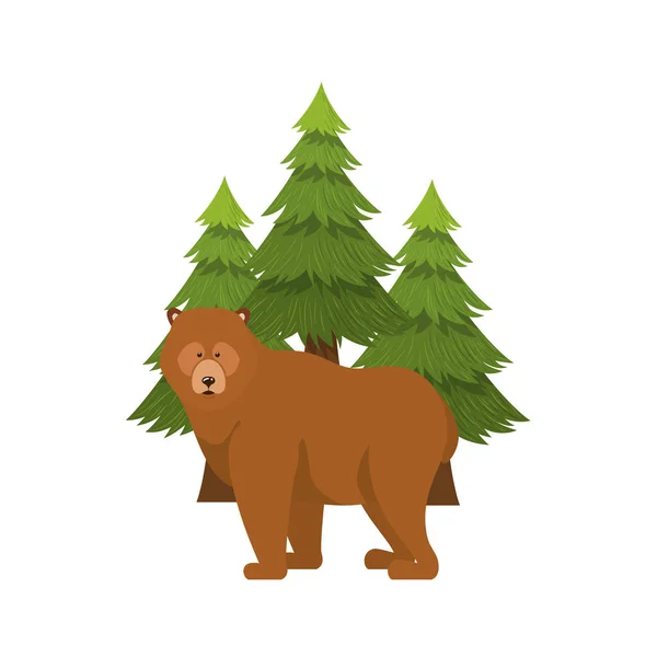 孤立的熊森林动物设计 — 图库矢量图片