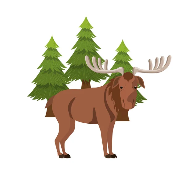 Isolated moose forest animal design — Stock Vector