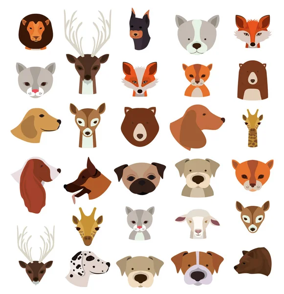Animals Set in flat style, vector illustration — Stock Vector