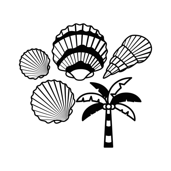 Palmier avec noix de coco en fond blanc — Image vectorielle