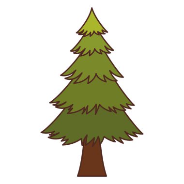 İzole doğal çam ağacı tasarımı