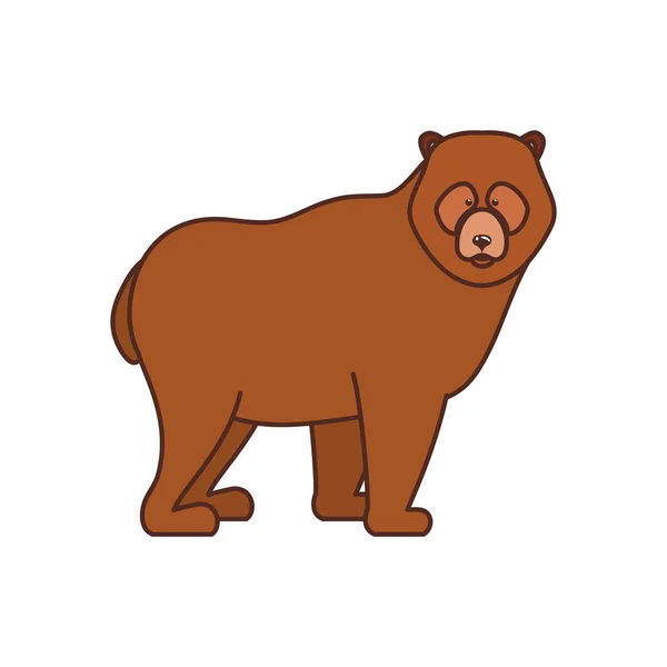 Bosque de oso animal de diseño canada — Vector de stock