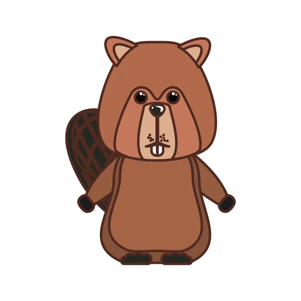 Beaver animal floresta de design canadense — Vetor de Stock