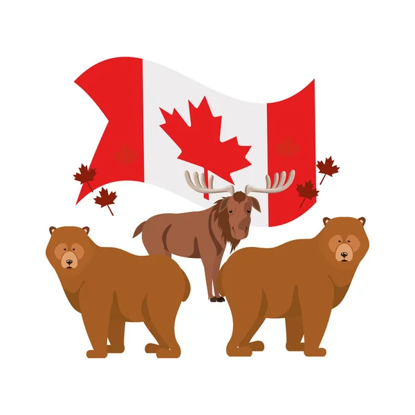 Bear and moose animal of canada design — Stock Vector