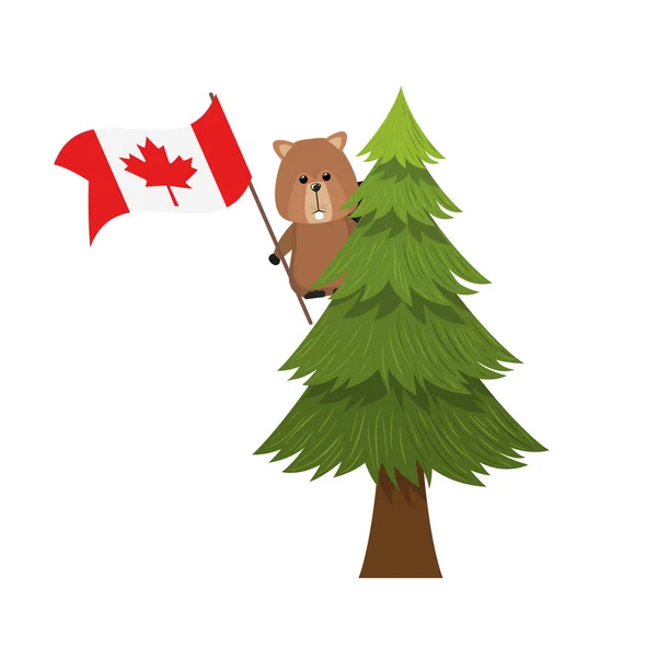Бобровое лесное животное канадского дизайна — стоковый вектор