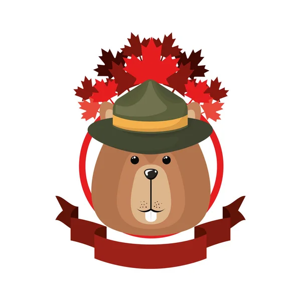 Beaver erdei állat Kanada design — Stock Vector