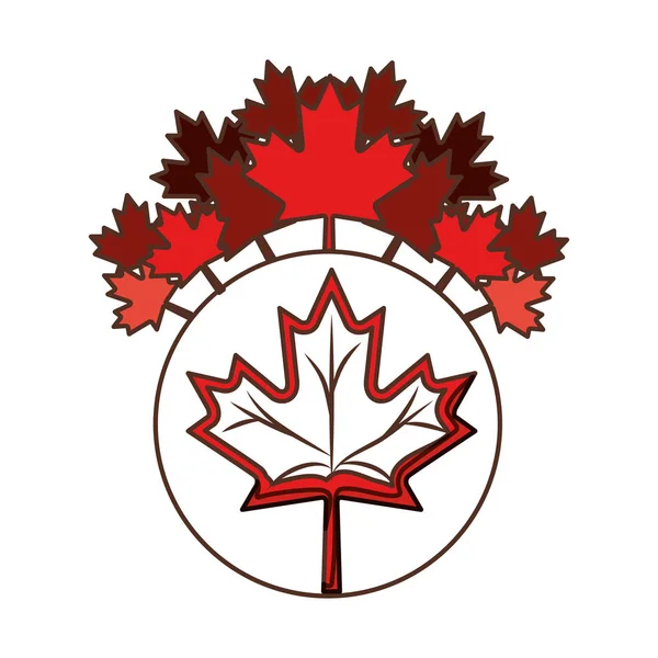 Maple Leaf van Canada Design — Stockvector