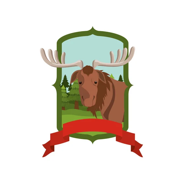 Moose forest animal of canada design — Stock Vector