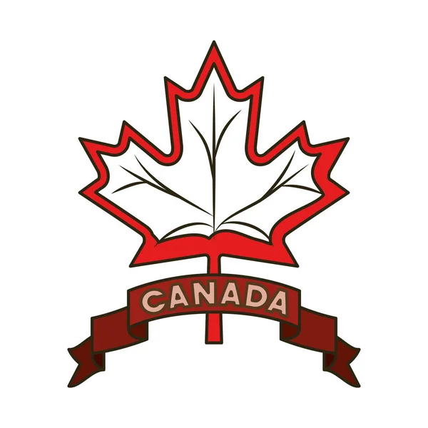 Maple Leaf en Canada symbool ontwerp — Stockvector