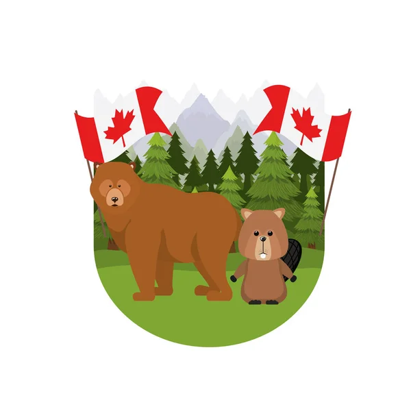 Beaver and bear animal of canada design — Stock Vector