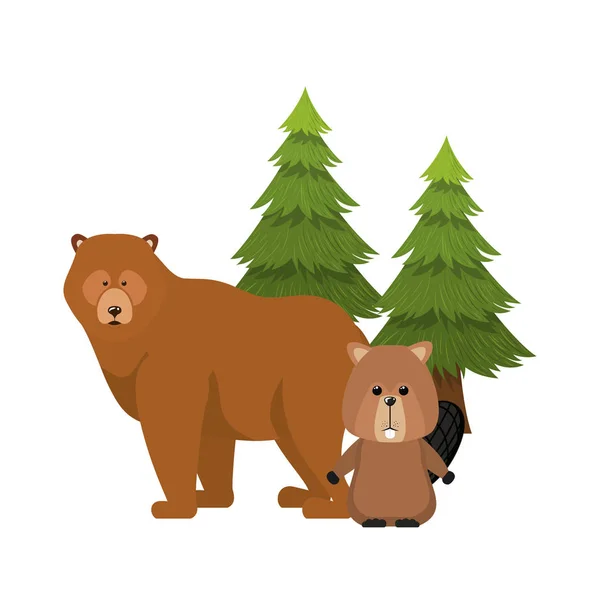 Bjørne- og beverskogdyr med kanadautforming – stockvektor