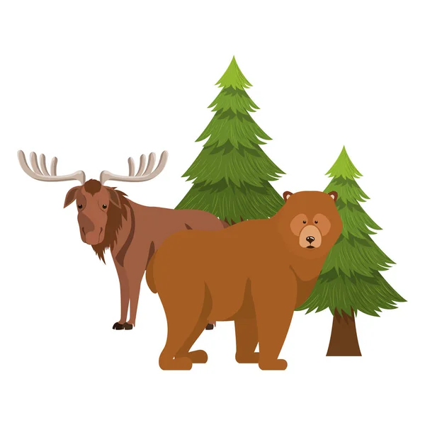 Oso y alce animal de bosque de diseño canada — Vector de stock