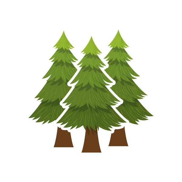 Projeto isolado de pinheiros naturais — Vetor de Stock