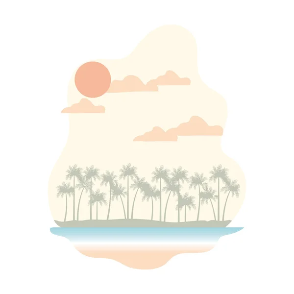 Palm träd med kokos i vit bakgrund — Stock vektor