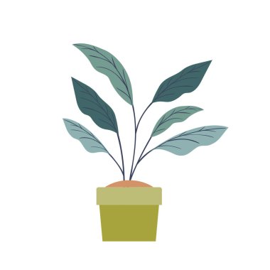 saksı izole simgesi ile houseplant