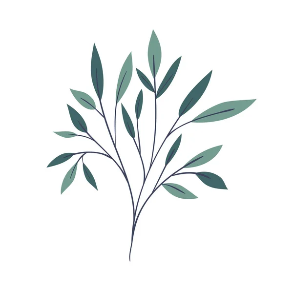 Zweig mit Blättern auf weißem Hintergrund — Stockvektor