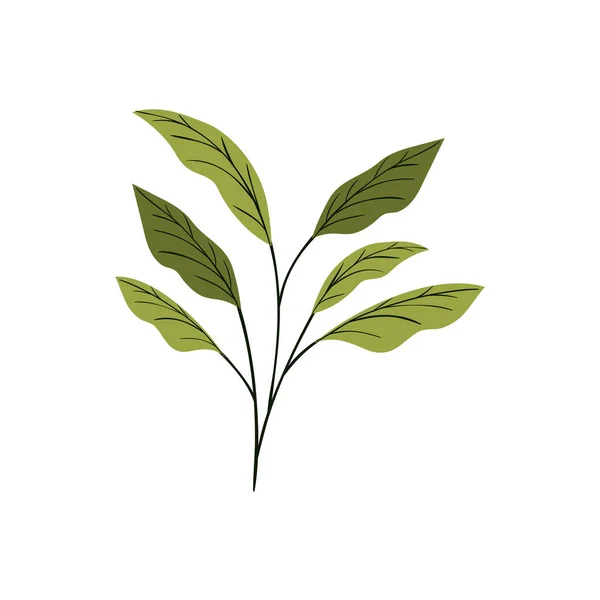 Ветка с листьями на белом фоне — стоковый вектор