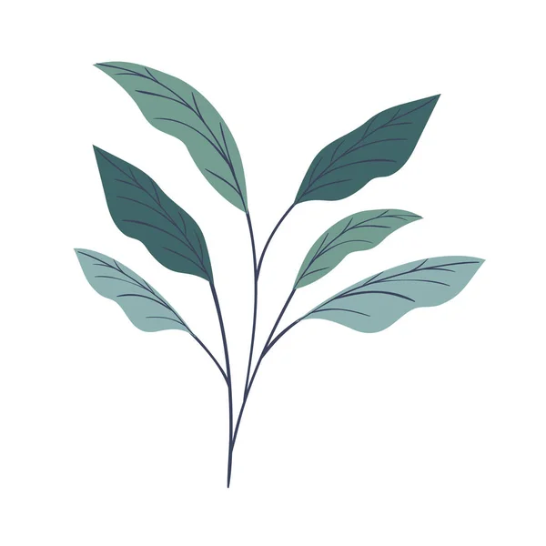 Ветка с листьями на белом фоне — стоковый вектор