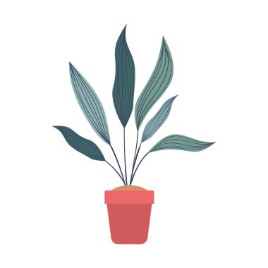 saksı izole simgesi ile houseplant