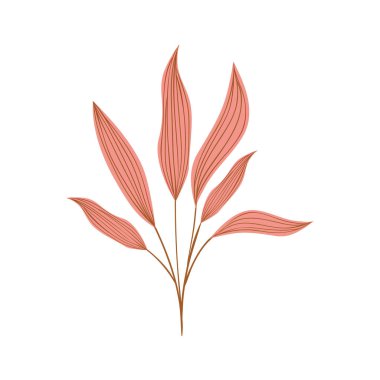 Beyaz arkaplanda yaprakları olan dal