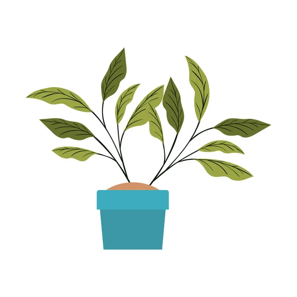 Zimmerpflanze mit eingetopfter Ikone — Stockvektor