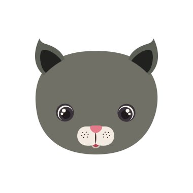 beyaz arka plan ile bebek kartı için kedi başkanı