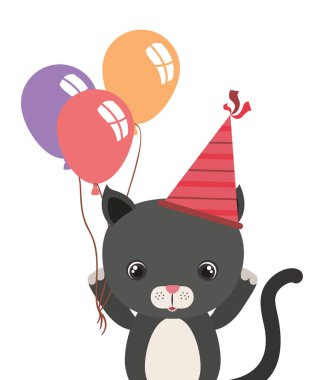 balonlar helyum ile sevimli kedi hayvan