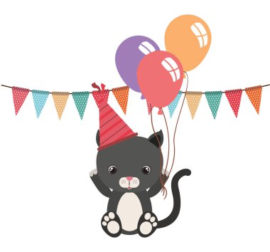 balonlar helyum ile sevimli kedi hayvan