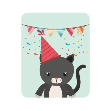 Doğum günü kartı ve şapka partisi ile kedi